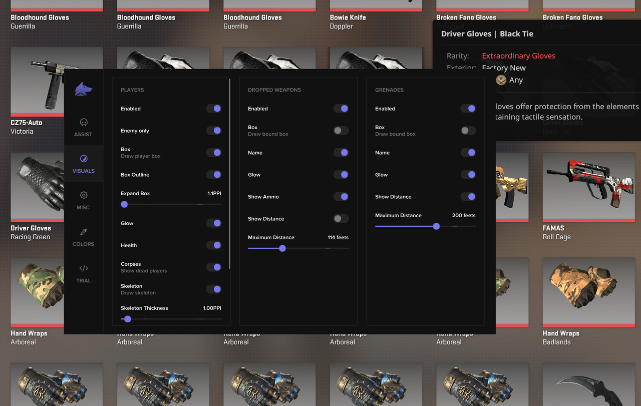 Counter-Strike 2 Fecurity cheat